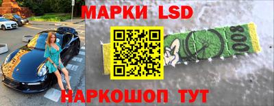гидропоника Дубна