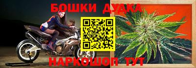 крисы Донецк