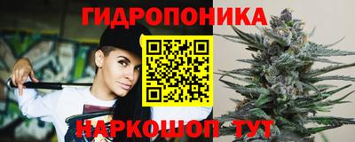 крисы Донецк